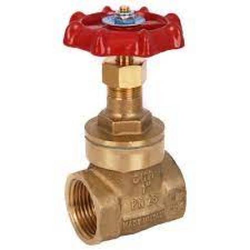 FI Brass Gatevalve 2"